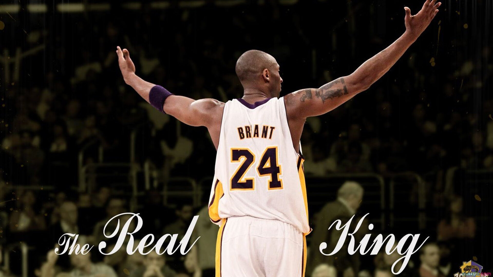 开云体育直播-青岛狂澜，陶汉林擎天一柱，江苏防线溃于小鲨鱼之怒